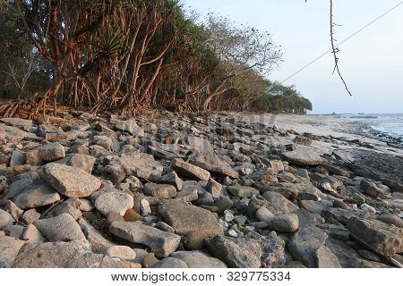 Beautiful Papuma Beach In Jember East Java Indonesia