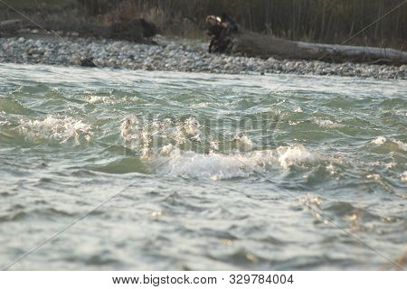 The Kuban River In The Suburbs Of The City Of Cherkessk At Sunset. Russia