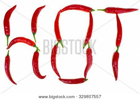 Group Of Chili Pepper Shape Hot English Words  At White Background