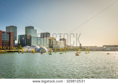 Rotterdam, Netherlands, September 2019: View On The Trees On The Water, Or Dobberend Bos Or Bobbing 