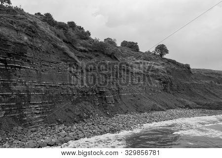 View Of The Blue Lias Cliff At Lyme Regis In Dorset Which Is Famous For Fossil Hunting