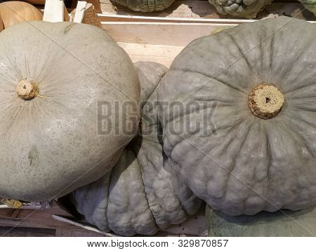 Pumpkins Type Valances For Sale At The Market