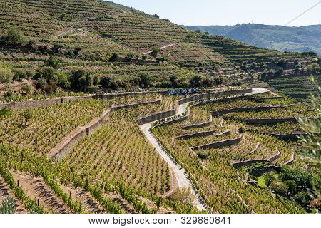 Pinhao, Portugal - 13 August 2019: Quinta Do Seixo Owned By Sandeman Offer Port Wine Tasting Tours I