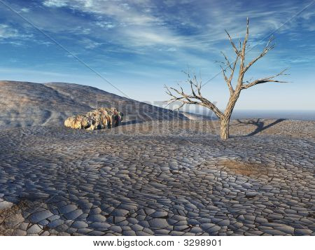 Mrtvý strom pustina