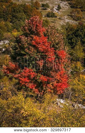 Autumn In The Beautiful National Park Of Abruzzo, Lazio And Molise