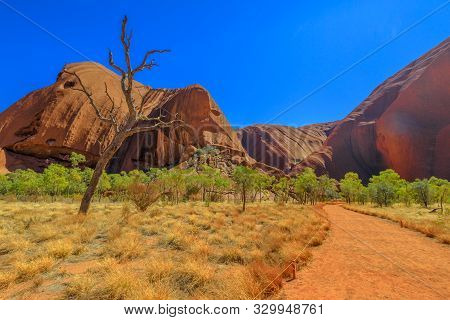 Uluru, Northern Territory, Australia - Aug 24, 2019: Sand Footpath And Bush Vegetation At Kuniya Wal