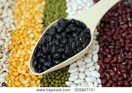 Lotf Of Black Bean In The Spoon