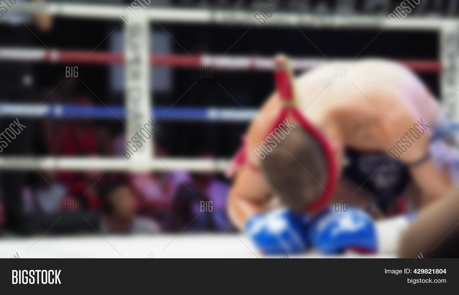 Thai Kick Boxing image