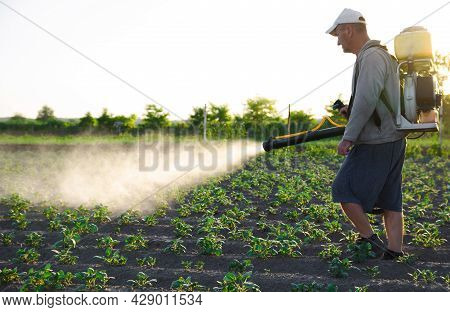 A Farmer With A Backpack Spray Treats The Plantation With Pesticides. Protection Of Plants From Inse