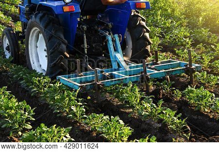 Blue Tractor With A Plow Is Cultivating A Field Of Potatoes. Agroindustry Equipment. Farm Machinery.