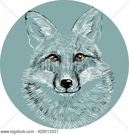 The Head Of A Fox Wolf In A Circle. Illustration A Hand-drawn Drawing, Like An Emblem Or Logo.