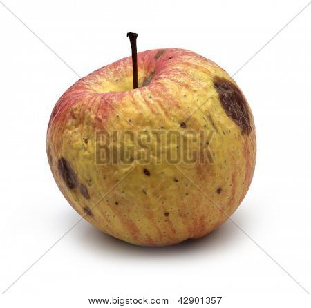 wormy apple