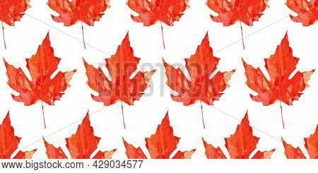 Bright Red Maple Leaf Watercolor Texture Seamless Pattern. Vector Autumn Fall Background. Backdrop F