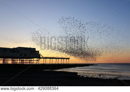 A Murmuration Of Starlings Forming A Heart Shape Above Aberystwyth Pier At Sunset