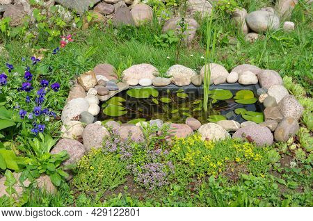 Decorative Pond With Plants On The Garden Plot