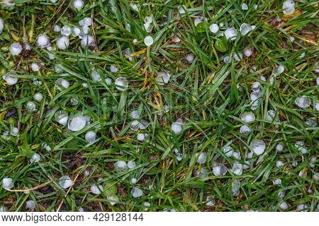 White Ice Hail On The Green Grass After Summer Storm