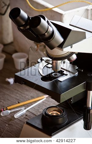 Fieldwork For Malaria