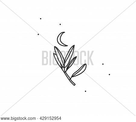 Hand Drawn Vector Abstract Stock Flat Graphic Illustration With Logo Element, Bohemian Magic Flower 