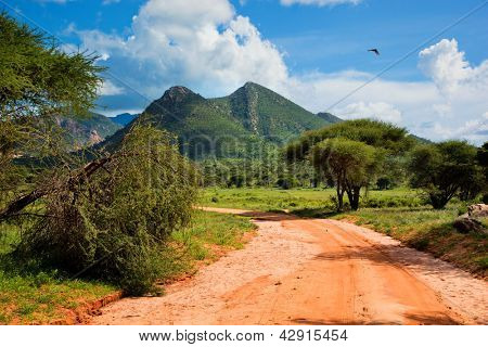 Strada di terra rossa e bush con il paesaggio della savana in Africa. Tsavo ovest, Kenya.