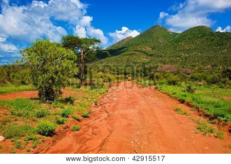 Strada di terra rossa e bush con il paesaggio della savana in Africa. Tsavo ovest, Kenya.