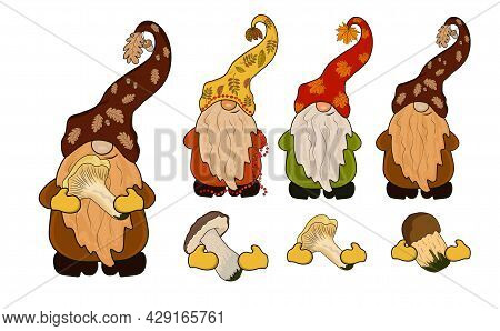 Autumn Gnomes With Forest Mushrooms In Their Hands. Illustration Constructor. A Set Of Gnomes And Ad