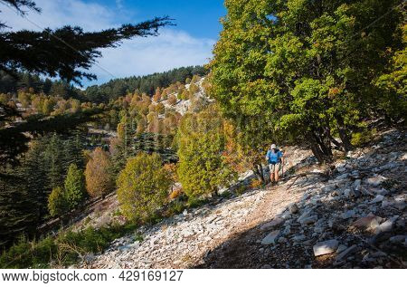 Hiking on mountains steep slope among trees in sunny day, Man is trekking Lycian Way, Trail from Alakilise Ruins to Finike, Outdoor activity, eco tourism in Turkey