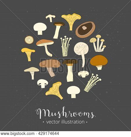 Different Hand Drawn Mushrooms Composed In Circle Shape Isolated On White Background.