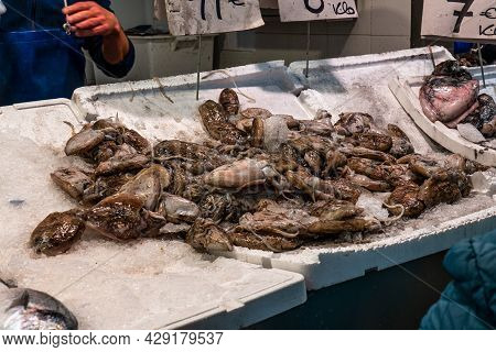 Cadiz, Spain - Nov 16, 2019: Shopping In Cadiz Downtown Market, Mercado Central De Abastos. Cadiz, A