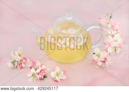Herbal remedy for female premenstrual cycle problems with apple flower blossom in a glass teapot. Natural health care concept high in antioxidants also for skin care, IBS and weight loss. 