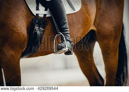 Equestrian Sport. The Leg Of The Rider In The Stirrup, Riding On A Horse. Stirrup Close-up. Dressage