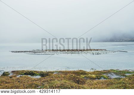 Minimalist Autumn Landscape With Motley Grasses And Mosses Near Mountain Lake In Dense Fog. Minimal 