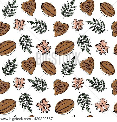 Hand Drawn Sketch Vector Seamless Background Pattern Of Walnut. Cute Simple Linear Pattern With Nuts