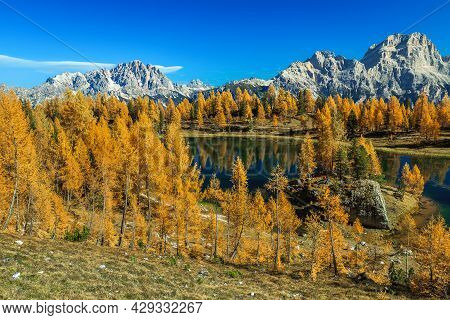 Amazing Colorful Autumn Forest With Picturesque Alpine Lake. Colorful Redwoods On The Shore Of The L