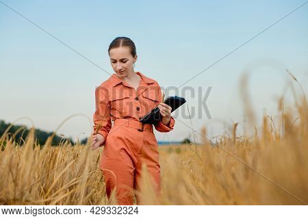 Agronomist Farmer With Digital Tablet Computer In Wheat Field Using Apps And Internet. Smart Farming