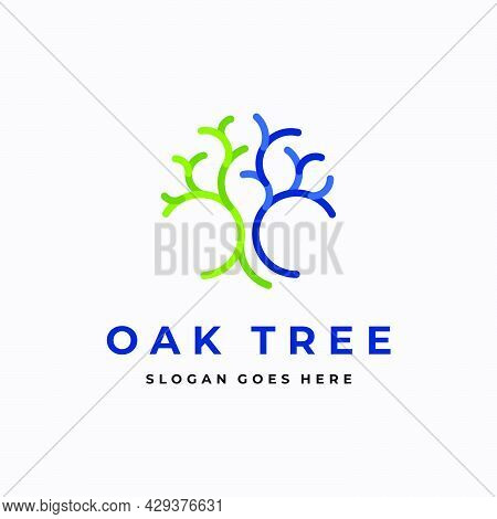 Illustration Oak Tree Logo Design Inspiration On White Background