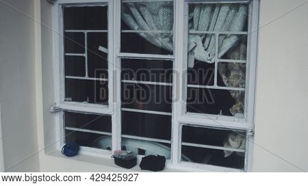 Close Up Of A Window In Natural Light