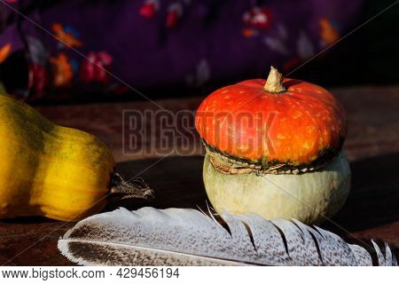 Close-up Turban Squash, Cucurbit, Yellow Squash, Quill Pen. Still-life. Turkish Pumpkin With A Turba