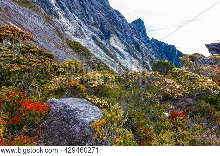 At The Peak Of Mount Kinabalu, Sabah, Borneo, Malaysia. The Mt Kinabalu Is  With 4095 Meter Above Se