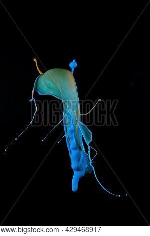 Blue And Green Splash On Black Background To Layer, Composite And Blend With Your Own Product Images
