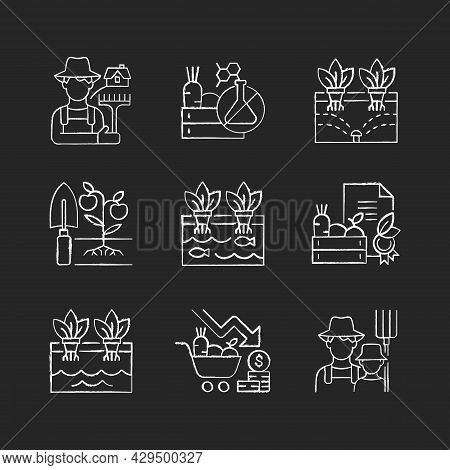 Farming Chalk White Icons Set On Dark Background. Agricultural Business. Rural Area. Crop Quality Co