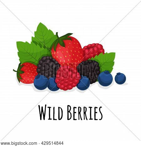 Ripe Forest Berries. Strawberry, Blackberry, Raspberry, Blueberry And Green Leaves. Cartoon Wild Ber