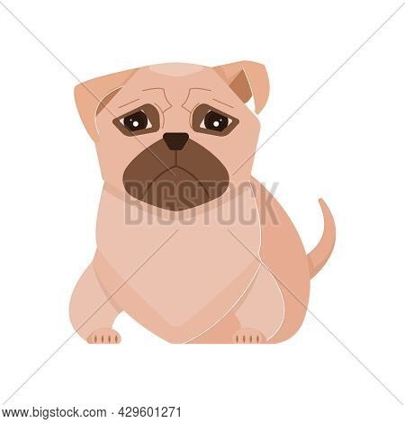 Cute Sad Pugdog On White Background Flat Vector Illustration