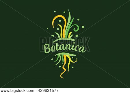 Logo With The Inscription Botanica And Painted Leaves