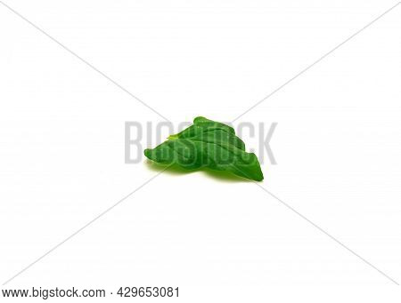 Homegrown New Zealand Spinach Or Tetragonia Tetragonioides Leaf Isolated On White