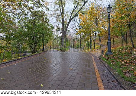 Low Angle View Of Cobblestone Narrow Alleys In The Autumn Park. Fallen Orange Leaves In Green Grass 