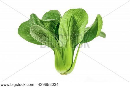 Isolated Pak Choy. Pak Choy On White Background.
