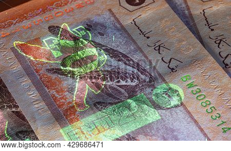 Macro Photography Of 20 Malaysian Ringgit With Fluor Light. Extreme Close-up Of Rm20 Malaysia. Sharp