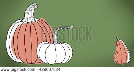 Illustration Three Pumpkins Of Different Shapes In The Linart Style On A Green Background, Autumn St