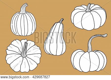 Illustration Set With Five Pumpkins Of Different Shapes In The Linart Style On A Ochra Background, A