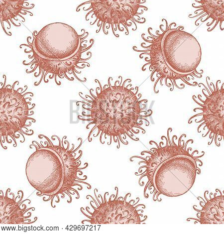 Seamless Pattern With Hand Drawn Pastel Rambutan Stock Illustration